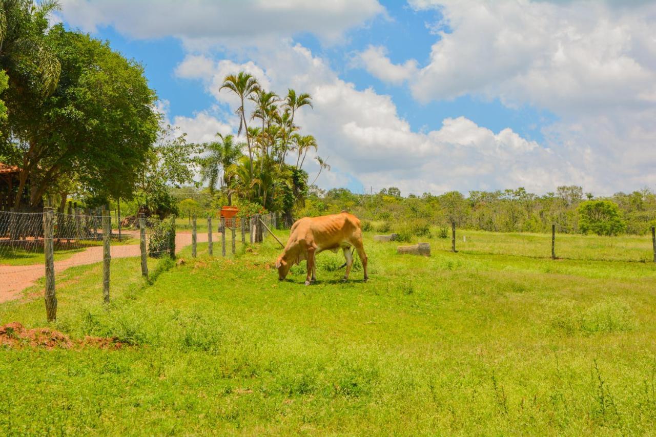 Fazenda Capoava Villa Itu Kültér fotó