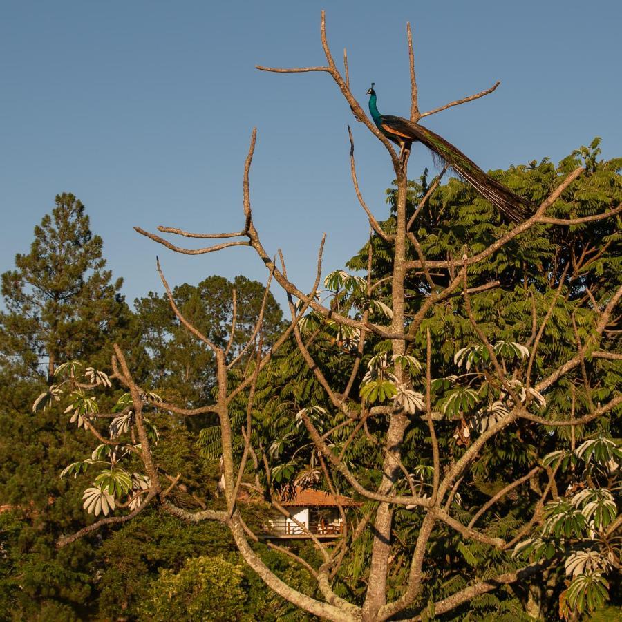 Fazenda Capoava Villa Itu Kültér fotó