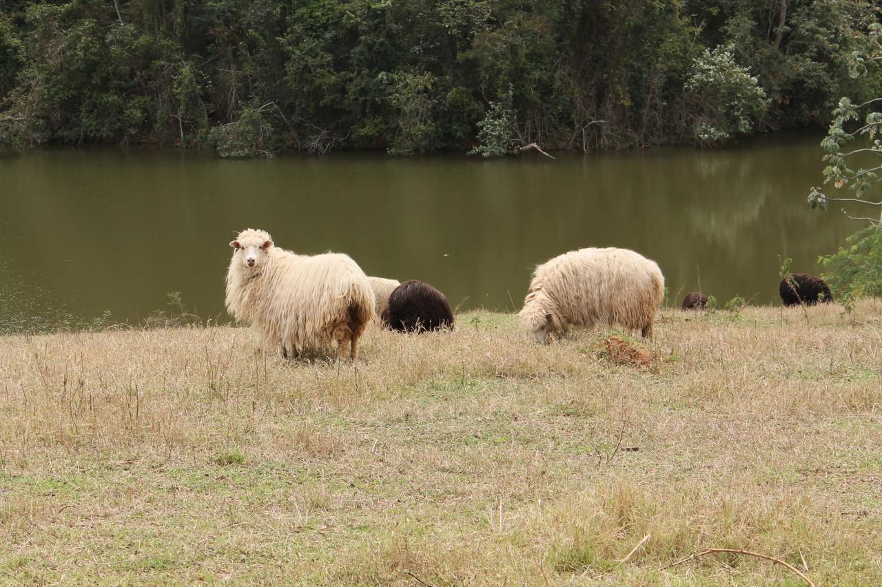 Fazenda Capoava Villa Itu Kültér fotó
